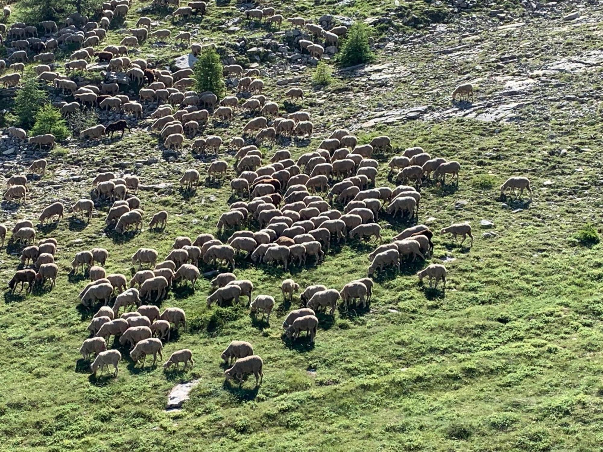 Le Flocon D'aurouze 522, 4 Personnes, *
